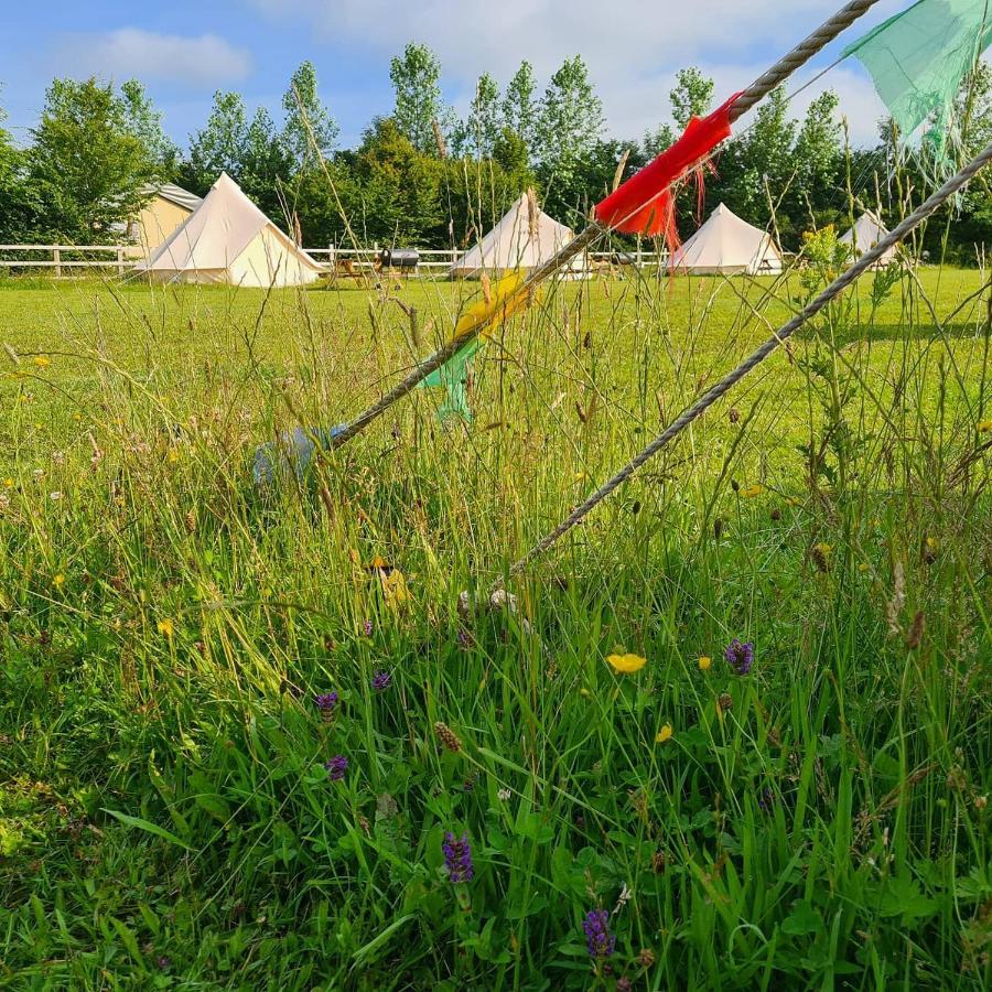 Bell Tent Glamping At Marwell Resort Winchester Ngoại thất bức ảnh